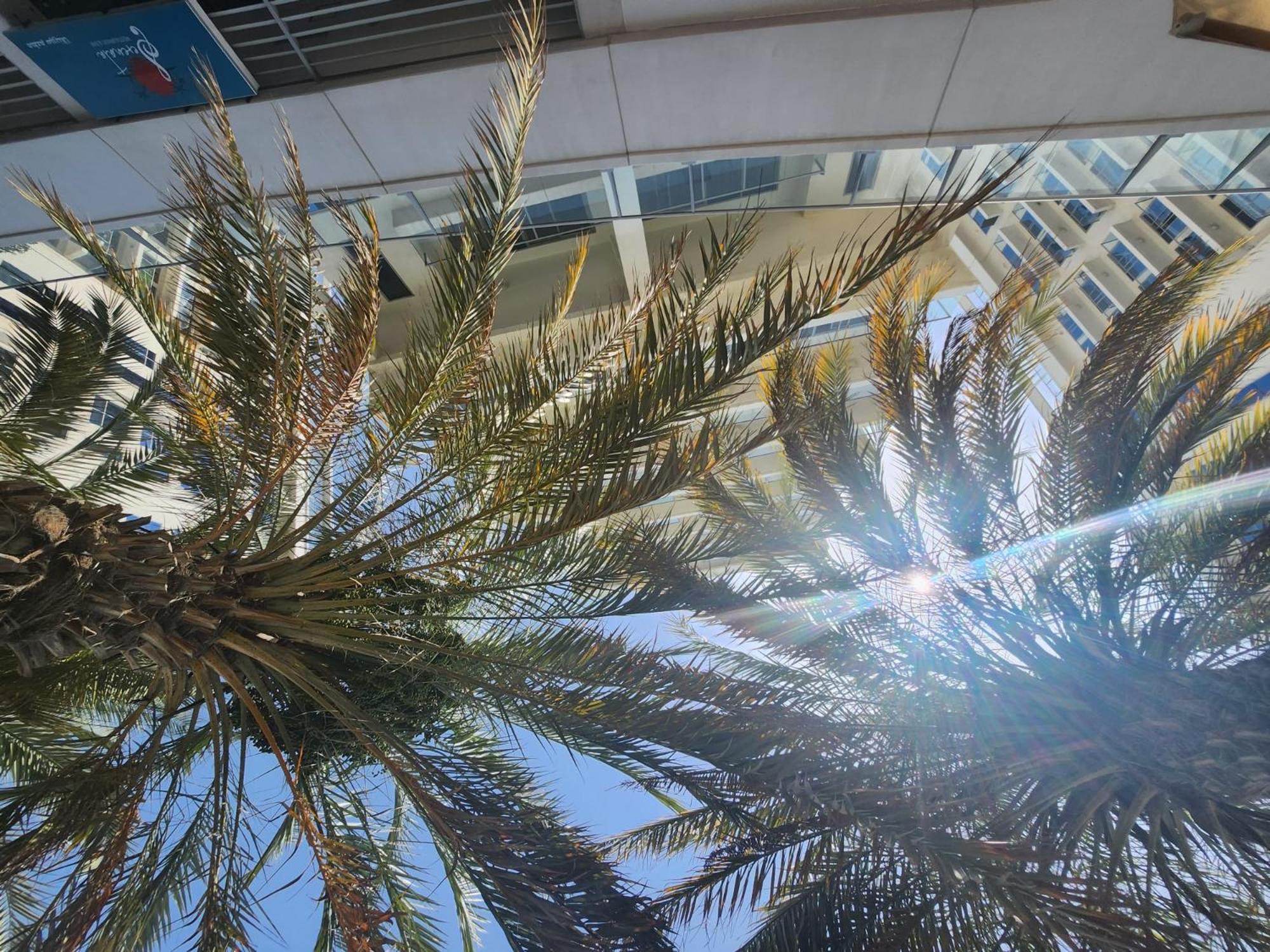 Marjan Island Beautiful Apartment Sea Side View Beach Luxury Rooms Ras Al Khaimah Uae Bagian luar foto
