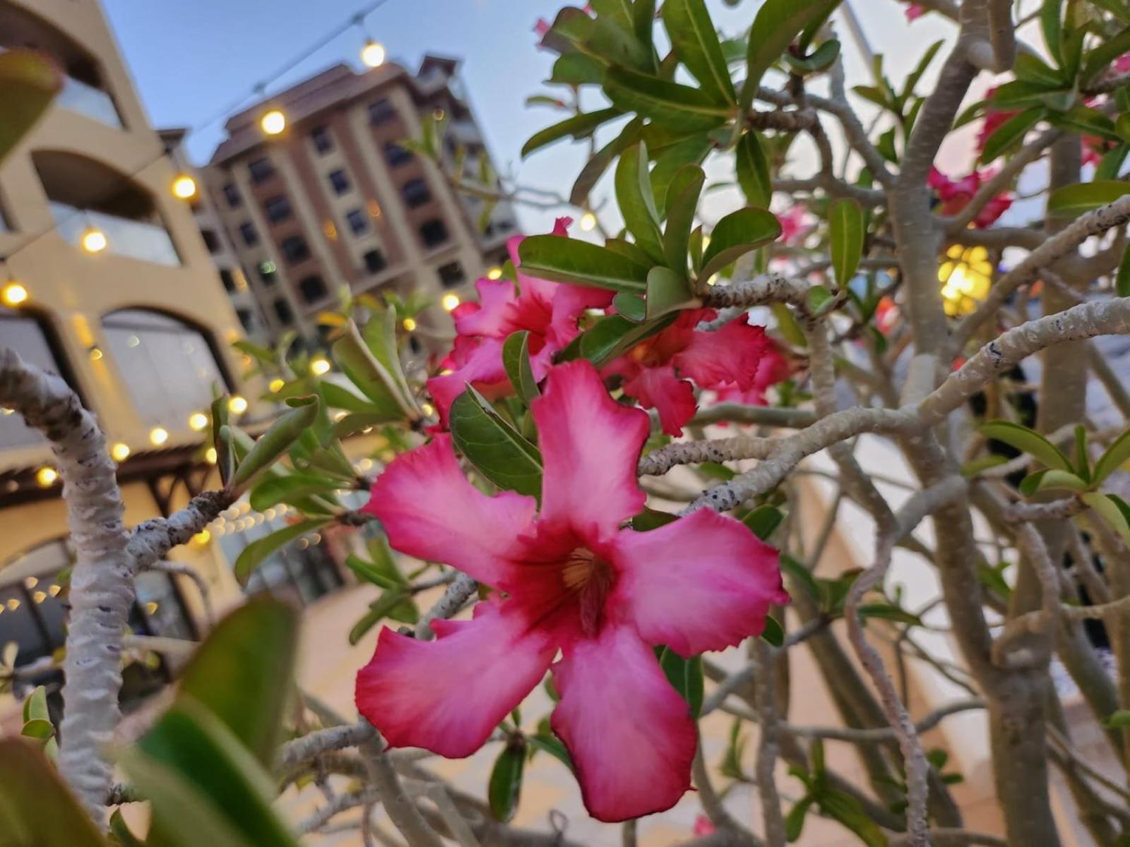 Marjan Island Beautiful Apartment Sea Side View Beach Luxury Rooms Ras Al Khaimah Uae Bagian luar foto